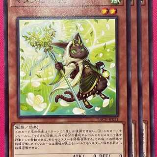 BAC31N マタタビ仙狸 3枚