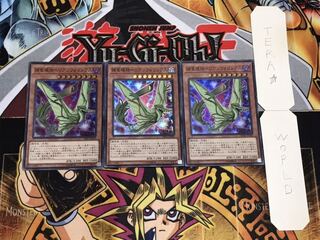 捕食植物ヘリアンフォリンクス スーパー 3枚セット