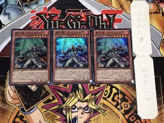 威炎星-ヒエンシャク スーパー 3枚セット