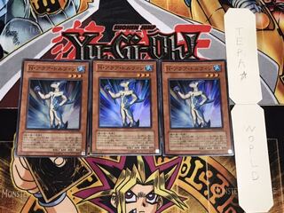 N・アクア・ドルフィン スーパー 3枚セット