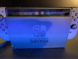 Switch どうぶつの森最強データ、ソフト付き