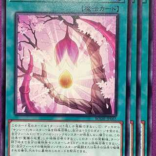 BOD65N 聖蔓の播種 3枚