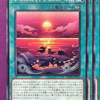 BOD59N ふわんだりぃずと未知の風 3枚