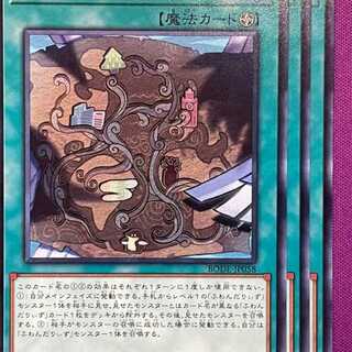 BOD58R ふわんだりぃずと謎の地図 3枚