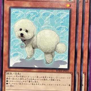 BOD35N 迷犬メリー 3枚