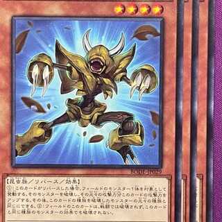 BOD29N 擬態する人喰い虫 3枚