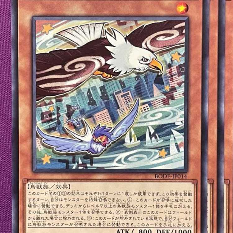 BOD14N ふわんだりぃず×いぐるん 3枚