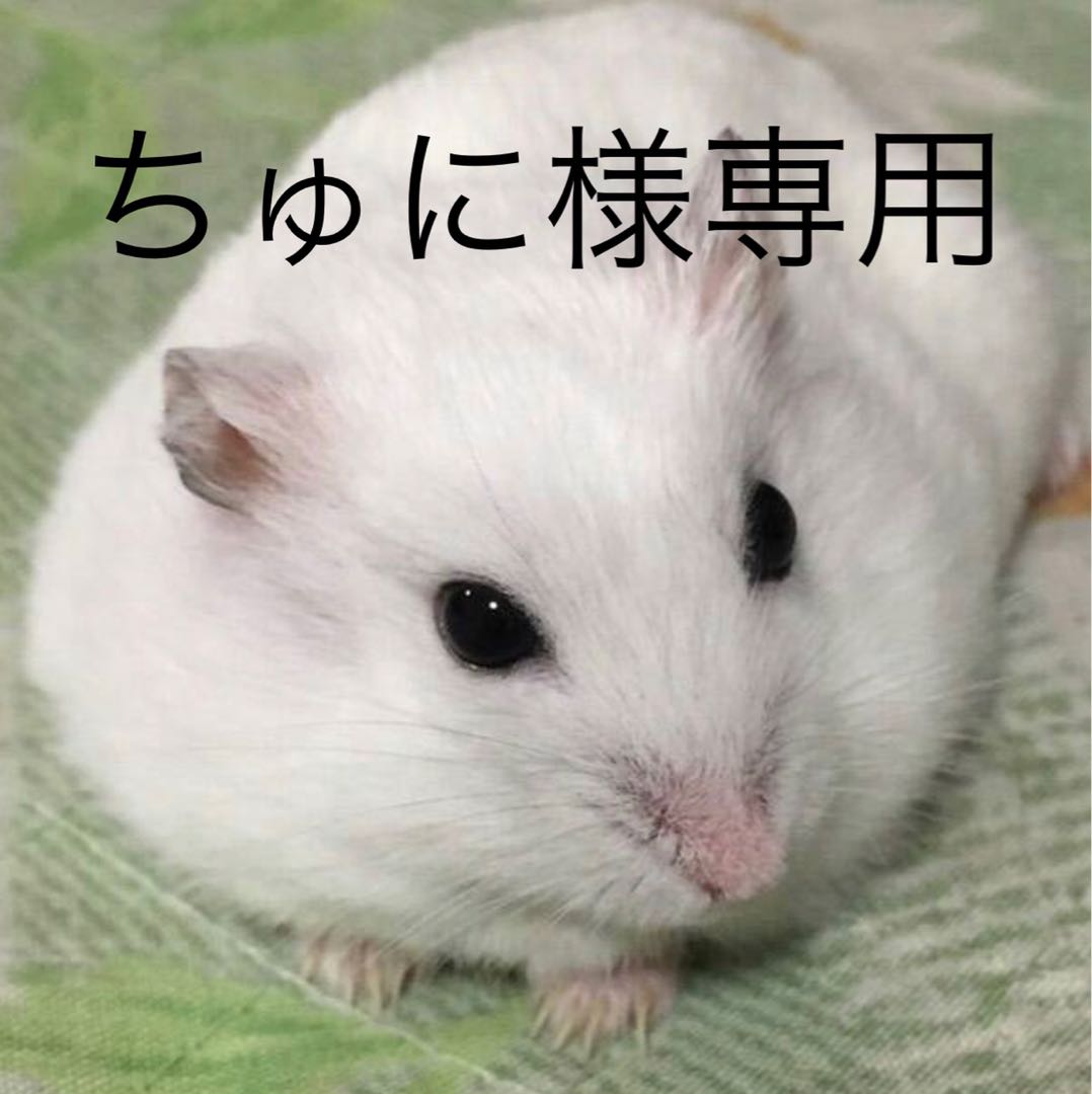 ちゅに様専用