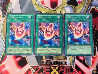 遊戯王 明鏡止水の心 ノーマル3枚