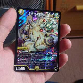 「絶対の楯騎士」