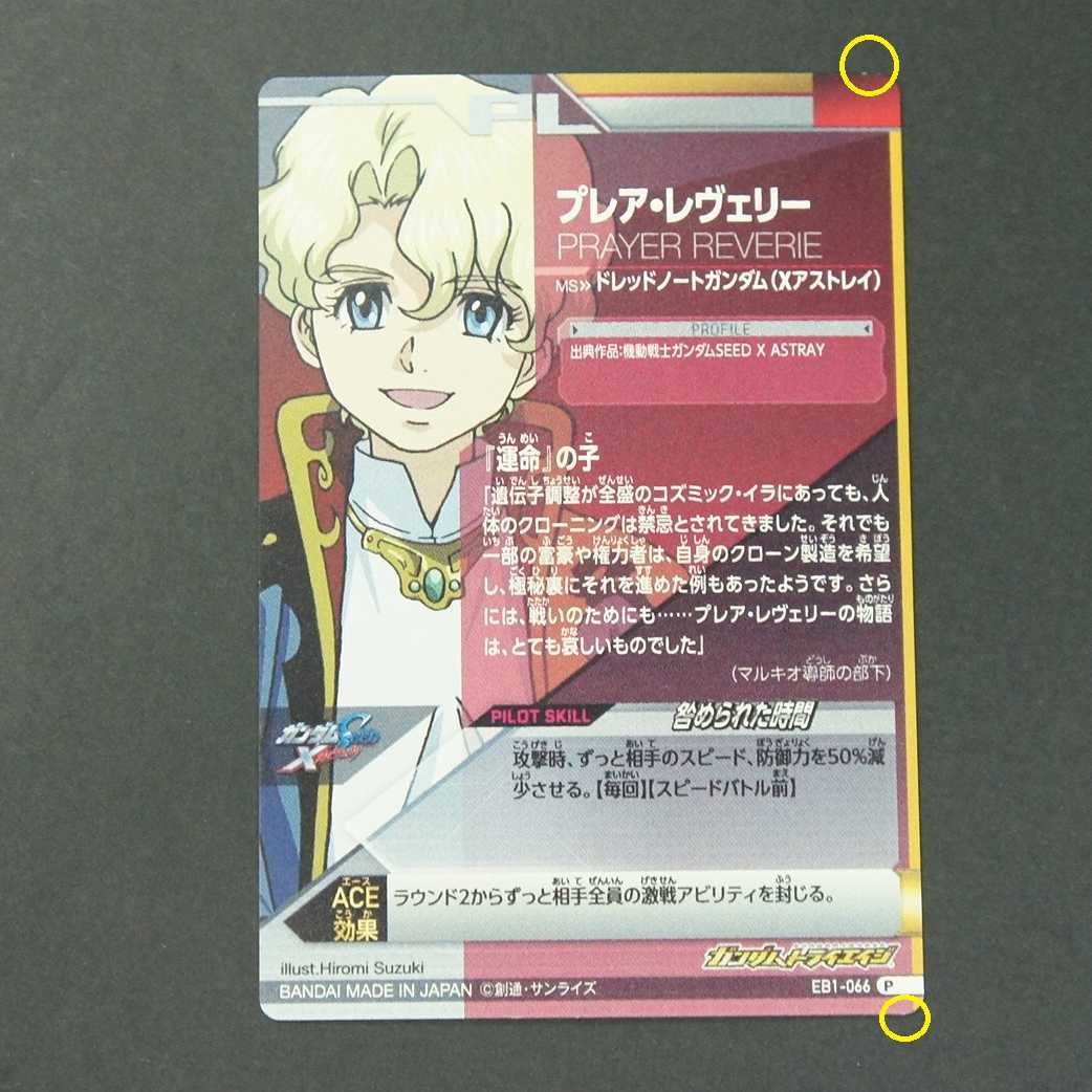 19627 プレア・レヴェリー P