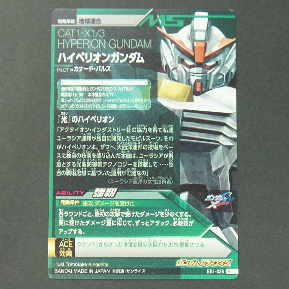19628　ハイペリオンガンダム　P