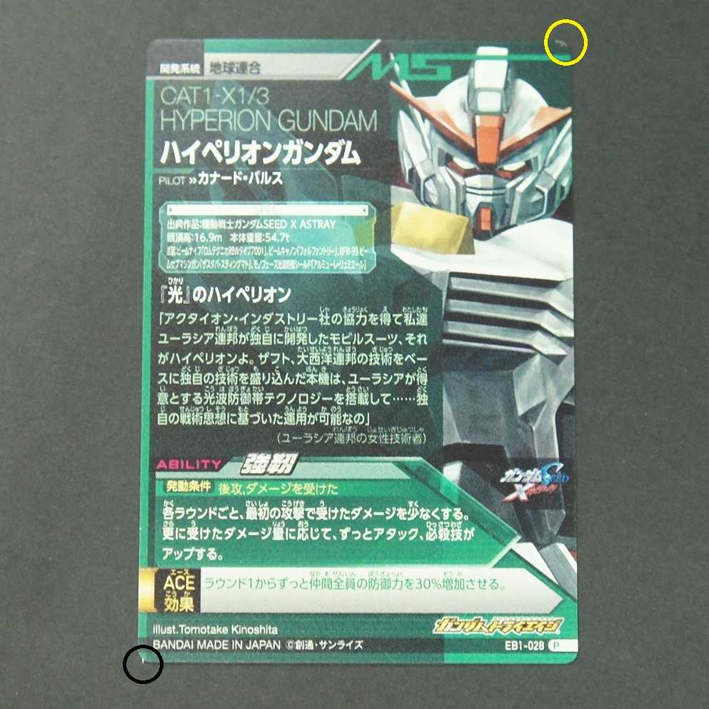 19628　ハイペリオンガンダム　P