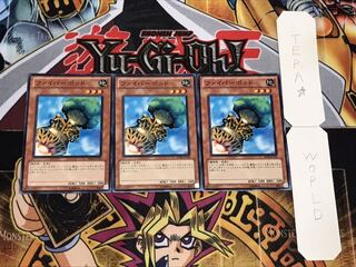 ファイバーポッド ノーマル 3枚セット てら