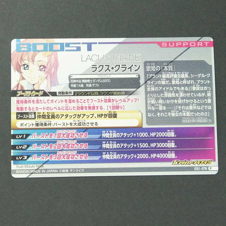 19630 ラクス・クライン P