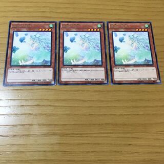 裏風の精霊 R 3点セット