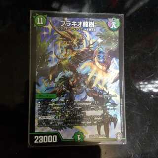 【最安値】ブラキオ龍樹