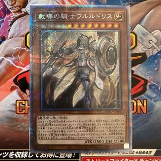 教導の騎士フルルドリス PSE