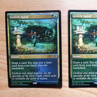 《成長のらせん｠FNMプロモ 英語版 2枚