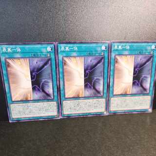 【ノーマル】表裏一体