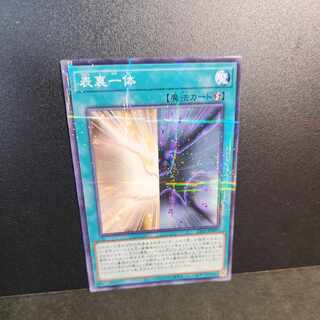 【ノーマルパラレル】表裏一体