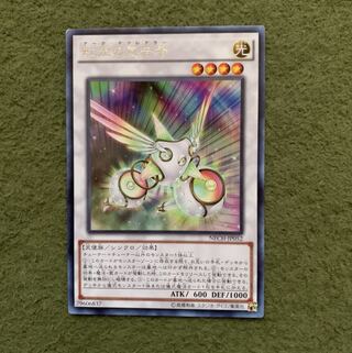 虹光の宣告者 R