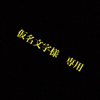 仮名文字様専用。クワガノンV SR