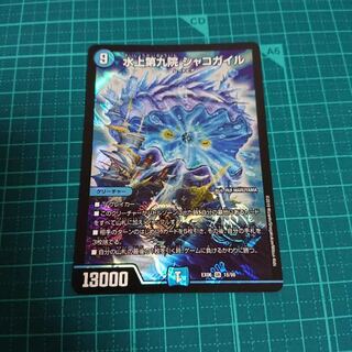 イツキ様 シャコガイル2枚