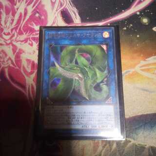 捕食植物ヴェルテ・アナコンダ UR