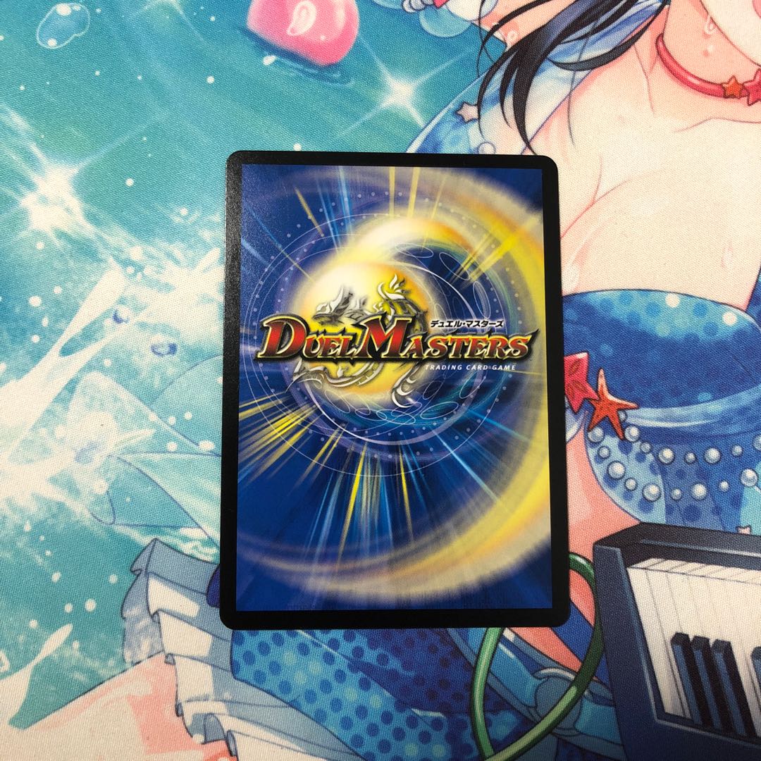 「絶対の楯騎士」 1枚