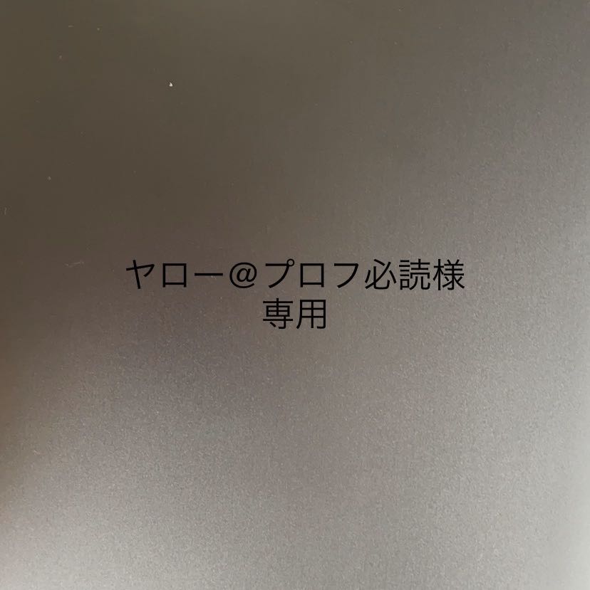 ヤロー@プロフ必読様専用
