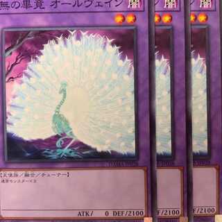 DAM38N 無の畢竟 オールヴェイン 3枚