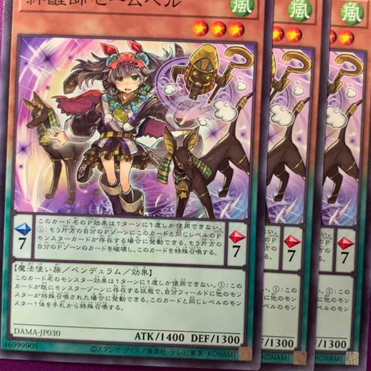 DAM30N 絆醒師セームベル 3枚