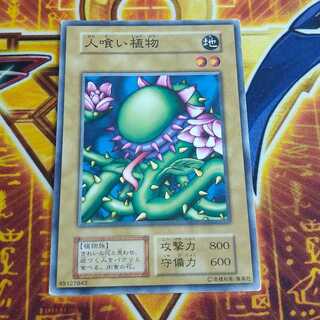 人喰い植物　初期