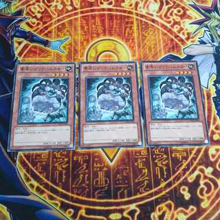 素早いビッグハムスター ノーマル JP034