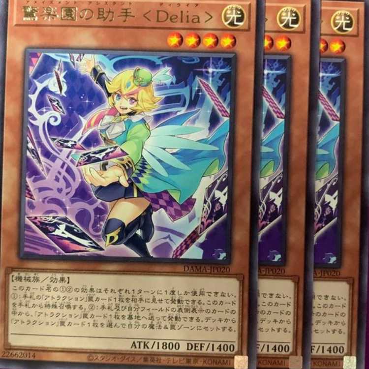 DAM20R 驚楽園の助手 <Delia> 3枚