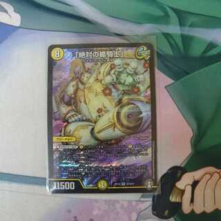 「絶対の楯騎士」 アブソリュート・シールドナイト