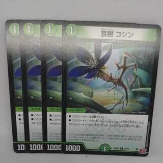 Aiju, Koshin C 75/76