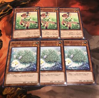 森の聖獣 カラントーサ N ヴァレリフォーン N 各3枚