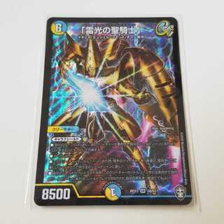 「雷光の聖騎士」