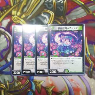 デュエマ ベラドンナ 4枚