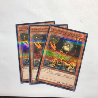 ローンファイア・ブロッサム