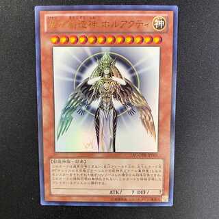 ホルアクティ ダメージ有