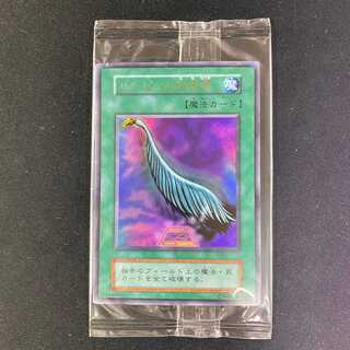 ハーピィの羽根箒　秘蔵レア