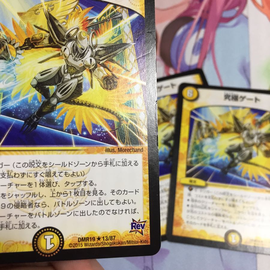 キャンペーン便乗特価  究極ゲート