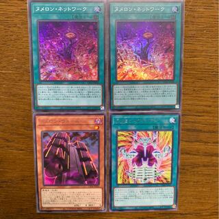 おやつ様 専用 ヌメロンネットワークセット