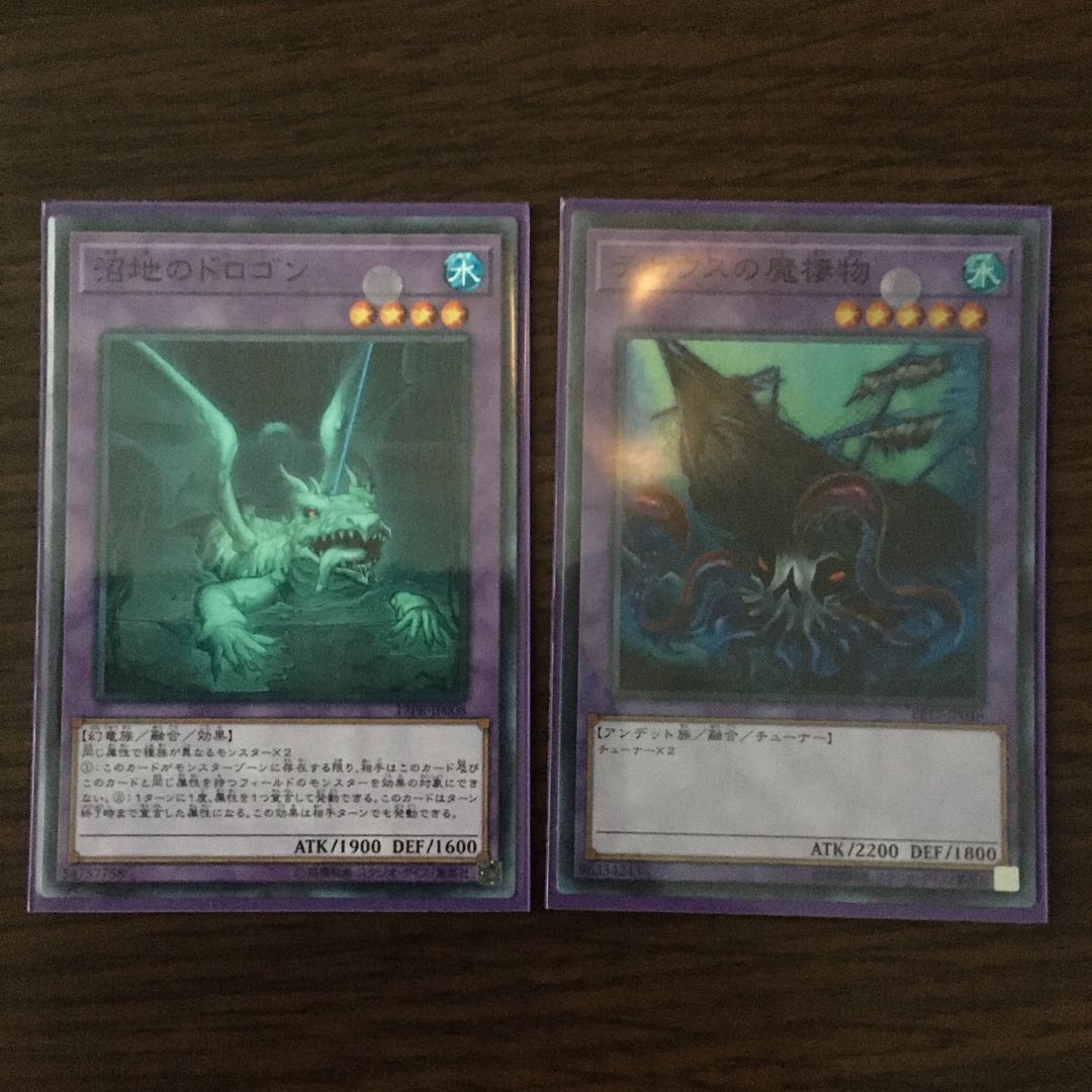 【ノクティ様専用】沼地のドロゴン