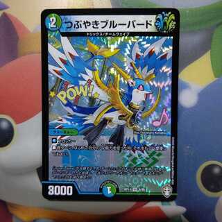 つぶやきブルーバード