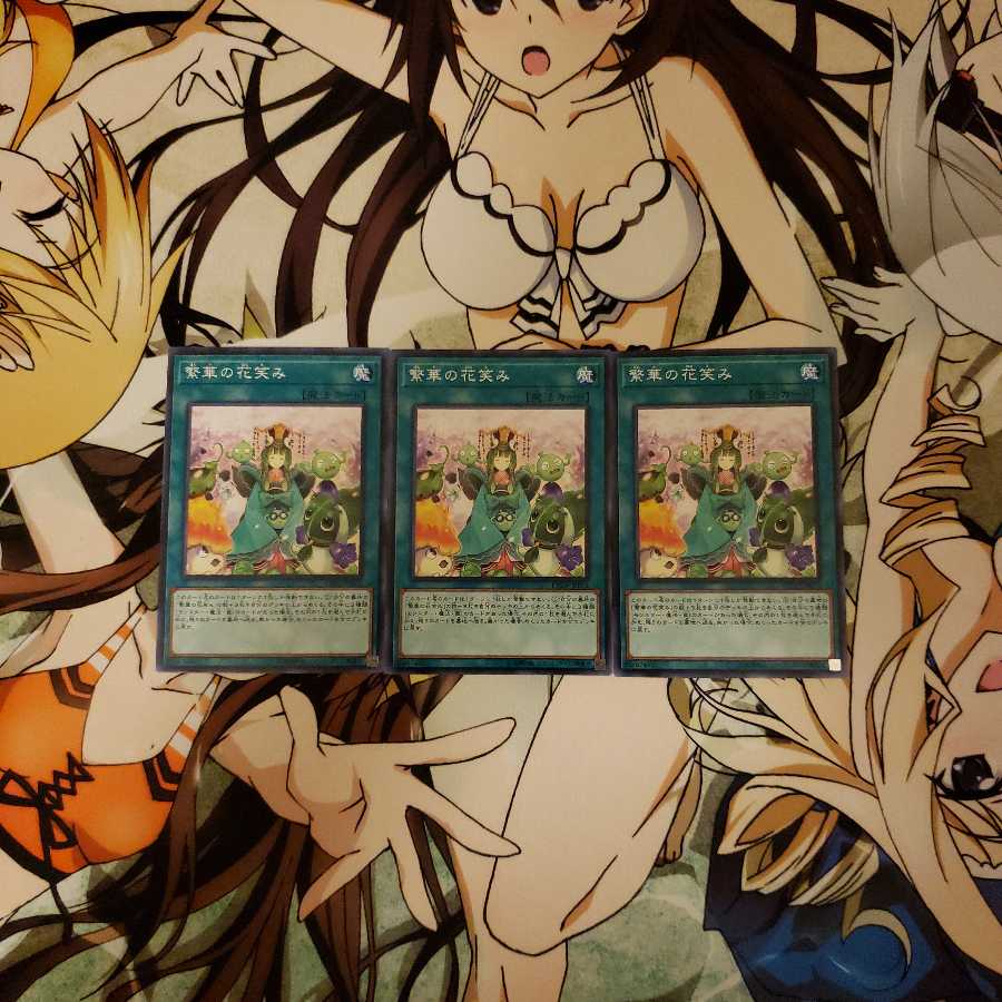 Flourishing Frolic NR