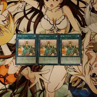 繁華の花笑み NR